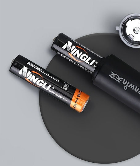 Radiere Electrică Alista Home Sketches Art Vârf Grosime 3 Mm/5 Mm 2 X Baterii Aa Nu Sunt Incluse Abs Negru