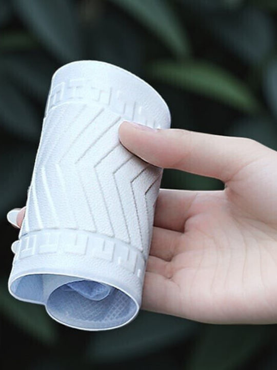 Alista Home Shoe Care Product