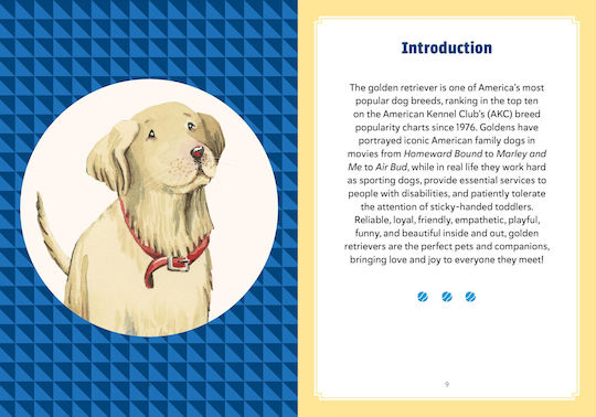 A Golden Life: What To Know And Love About The Golden Retriever (favorite Dog)