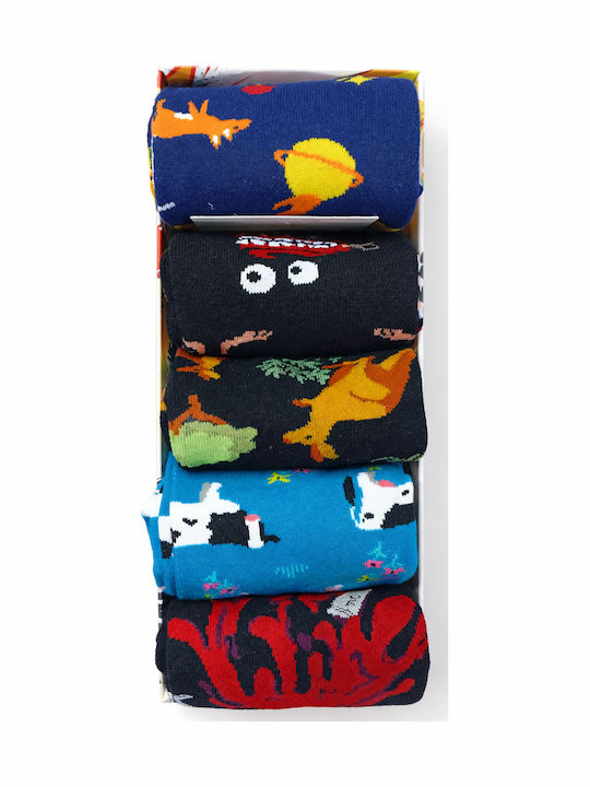 Hoho Socks Κάλτσες Πολύχρωμο 5Pack