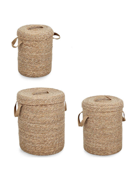 Selected by Pragmatic Decorative Wicker Basket with Cap and Handles Beige 35x35x44cm BIZ-0411113-M