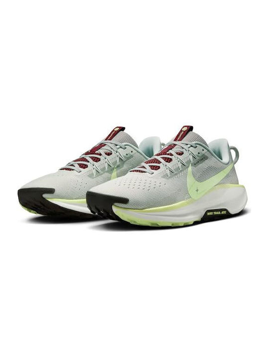 Pegasus Trail 5 Sport Shoes Trail Running GRI