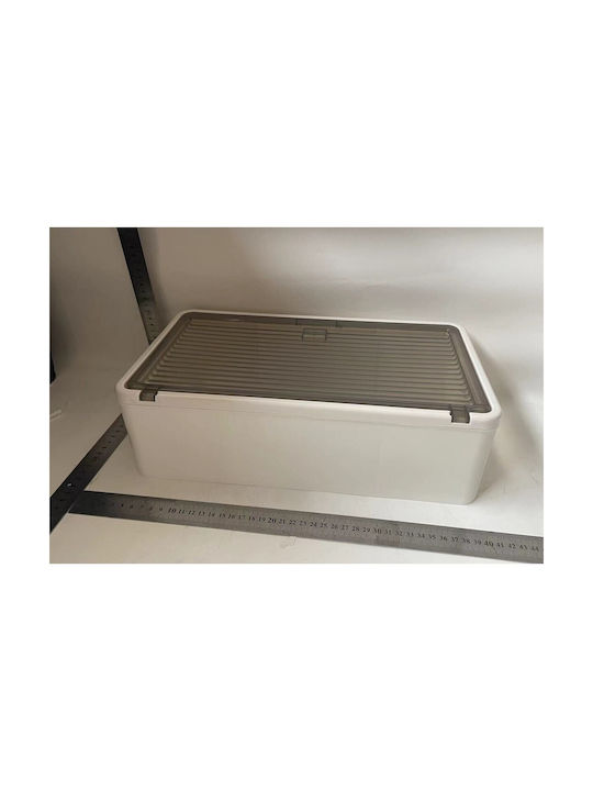 Alista Home Wall Lamp White 36.5x10.9x20 cm Alista Home Wall Lamp White 36.5x10.9x20 cm