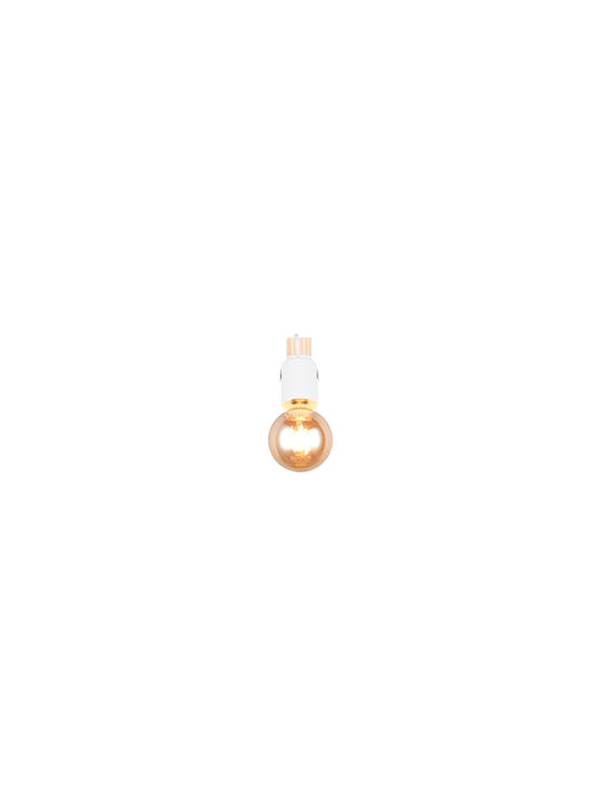 Trio Lighting Μονό Σποτ σε Λευκό Χρώμα