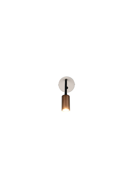 Trio Lighting Modern Wandleuchte Braun