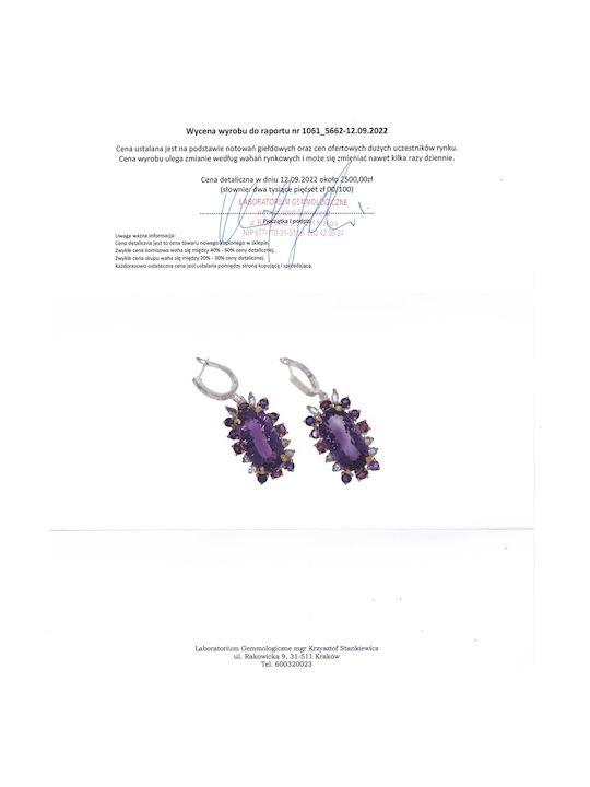 30ct Amethyst Rhodolite Topaz Earrings Certificate