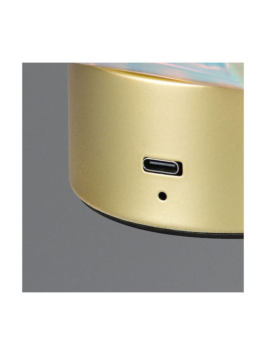 Trio Lighting Διακοσμητικό Φωτιστικό Θερμό Λευκό 3000K