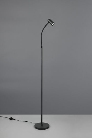 Trio Lighting Lampadar de Podea Negru
