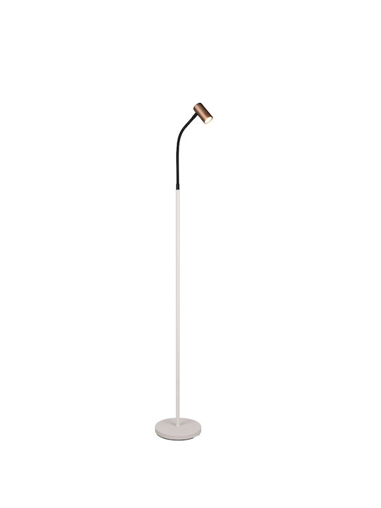 Trio Lighting Floor Lamp Brown