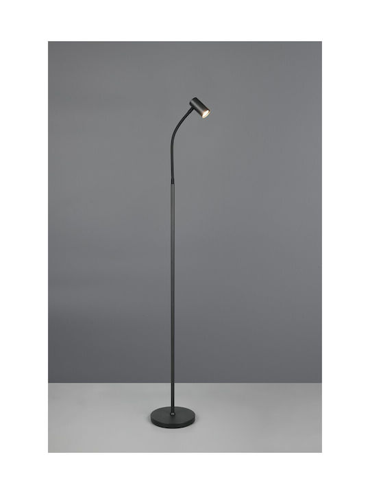 Trio Lighting Floor Lamp Black