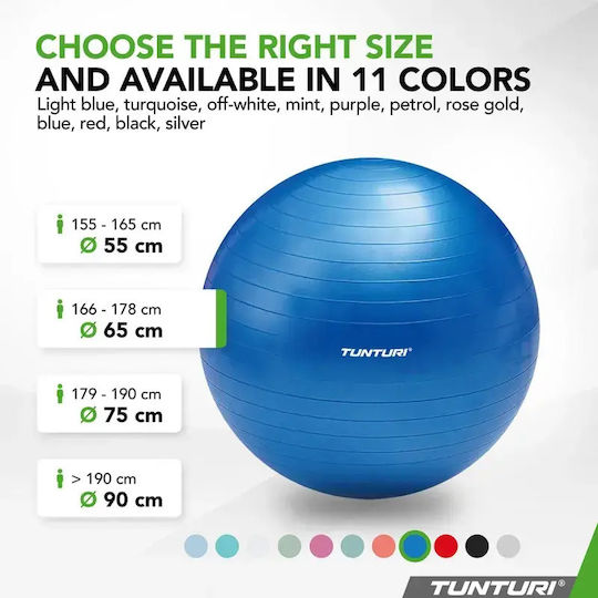 Tunturi Ball Pilates 65cm , 1kg in Blue Color