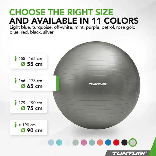 Tunturi Pilates Ball 65cm in Gray Farbe