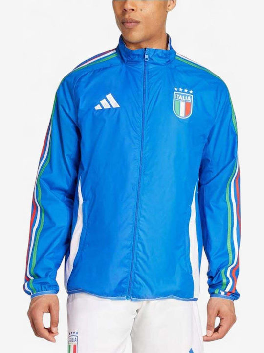 adidas adidas