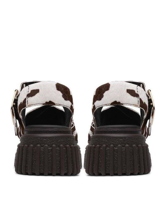 Summer Women's Multicolour Platforms