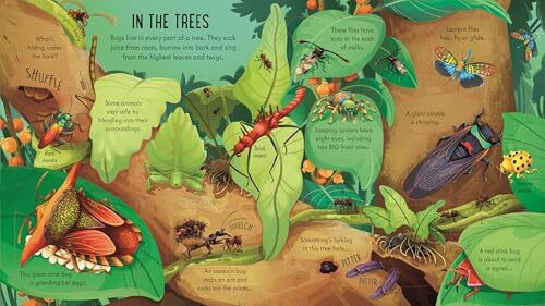 Schau Ins Innere der Käferwelt - Usborne Publishing Ltd - Pappbilderbuch