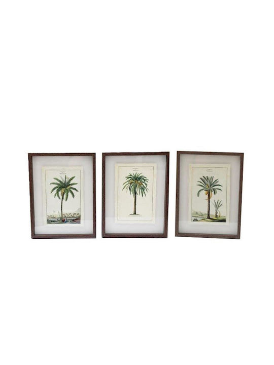 Atmosphera Palm Frame on Canvas 30x40cm