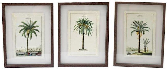 Atmosphera Palm on Canvas 30x40 cm