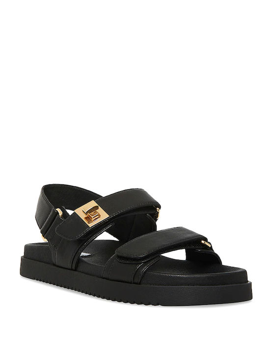 Steve Madden Steve Madden