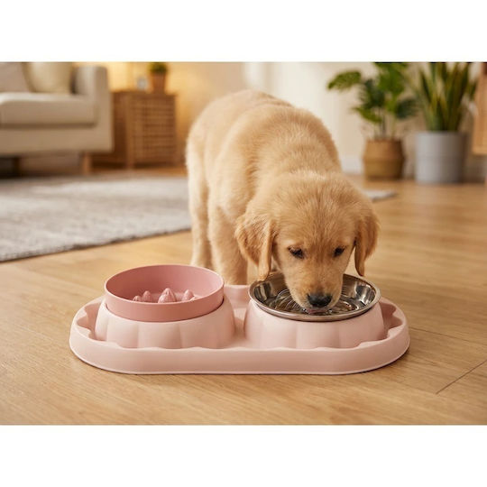 Bol Din Plastic Pentru Hrană și Apă cu Hrănire Lentă Pentru Câine cu Suport 2x 36cm în Culoare Roz