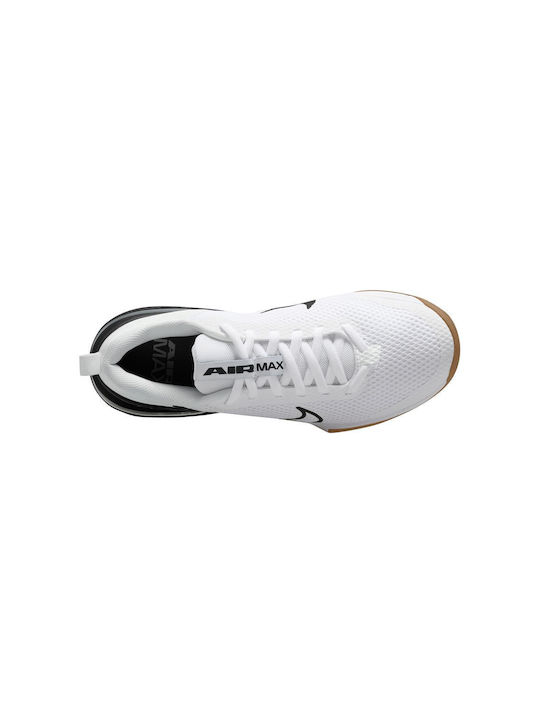 Air Max Alpha Trainer 6 Men's Sport Shoes Training White