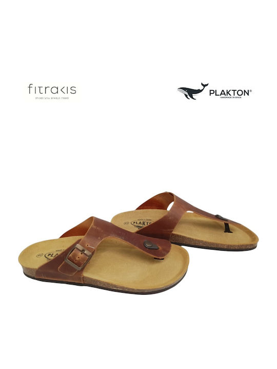 Plakton