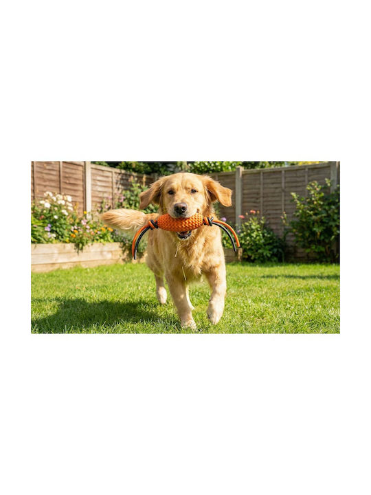 Training Dog Toy Orange 1 Piece