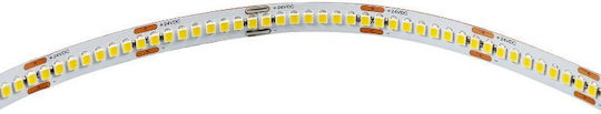 Modee Lighting LED-Streifen 24V Natürliches Weiß Licht 5m