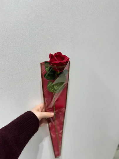 Ein Eindrucksvolles Langes Rote Rose