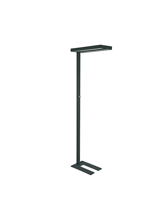 Maul Lampadar De Podea Led Negru