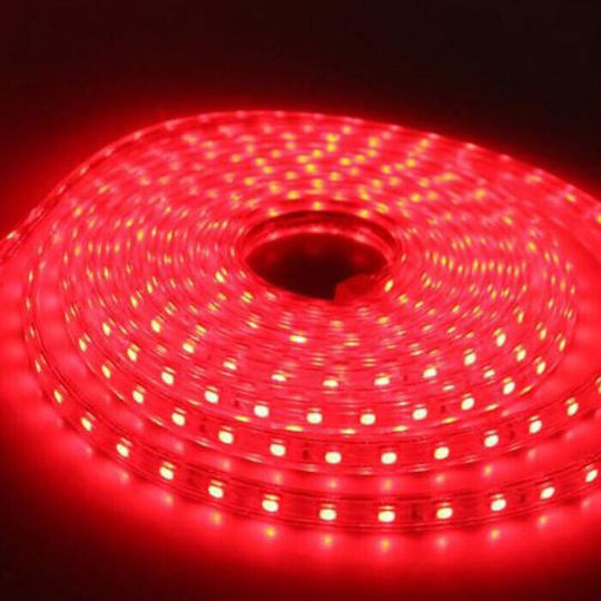 Elmark Αδιάβροχη Ταινία LED 12V Κόκκινο Φως 5m Τύπου SMD5050