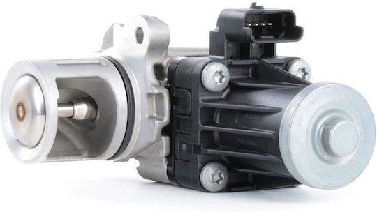 Pierburg Car EGR valve για Citroen LN / DS