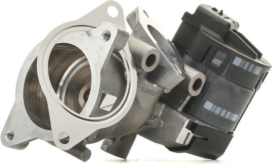Delphi Car Multiple Import Valve Multiple Intake Valve for Citroen C4/C5 για Citroen C5