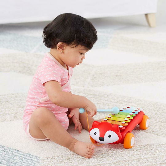 Skip Hop Skip Hop Μουσisches Instrument Xylophon mit Musik für 12+ Monate