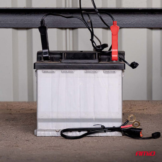 AMiO Pro Hook Зарядно за автомобилна батерия 6/12V