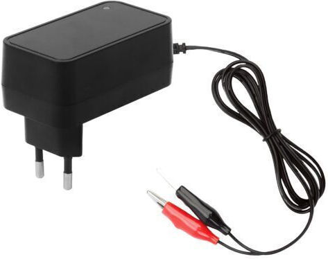 Φορτιστής Μπαταρίας Αυτοκινήτου 14.4V 1A