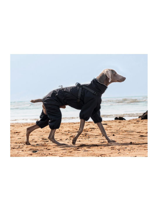 Full Body Waterproof Gray 41cm Back Length:41cm