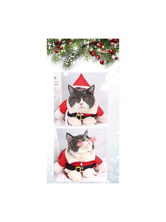 Animal 221169 Animal 221169
