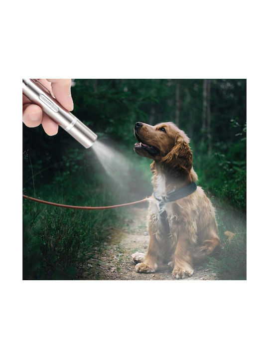 Animal Παιχνίδι Γάτας Laser