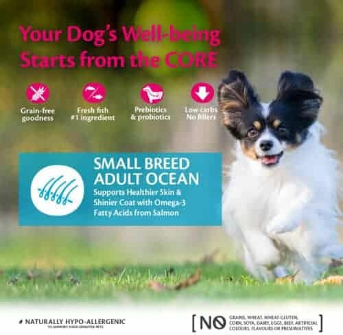 Wellness Core Grain Free Small Adult Ocean 1.5kg Dry Food Grain-Free for Adult Small Breed Dogs with Salmon and Tuna