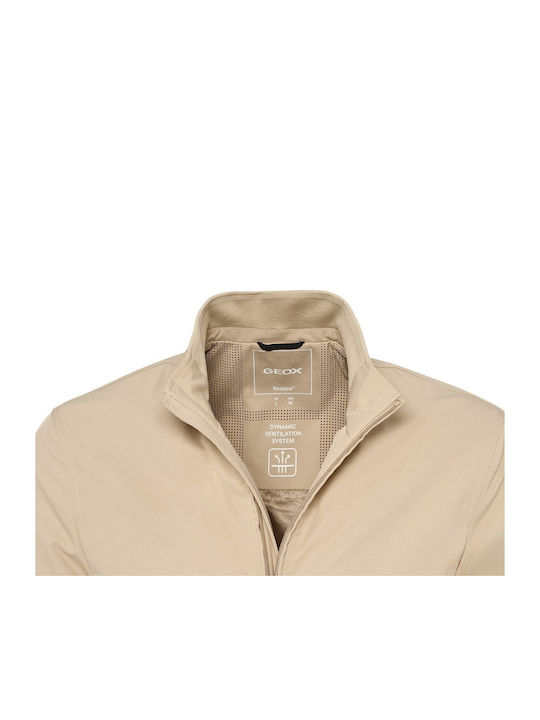 Bomber Jacket Waterproof and Windproof Beige