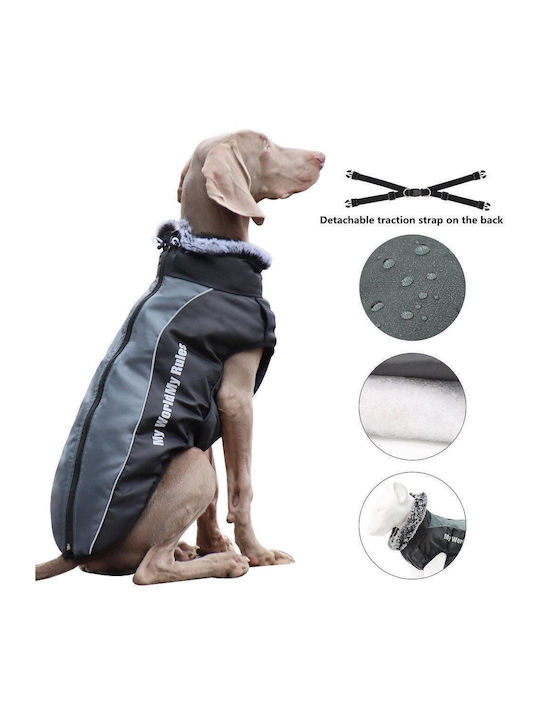 Animal Hundemantel Gray mit Rückenlänge 42 cm.