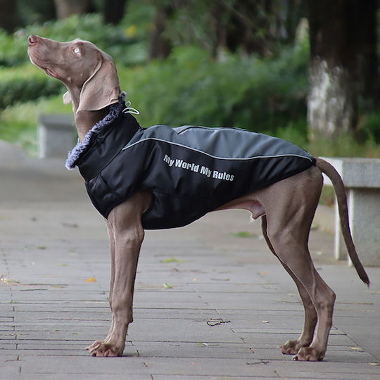 Animal Hundemantel Gray mit Rückenlänge 42 cm.