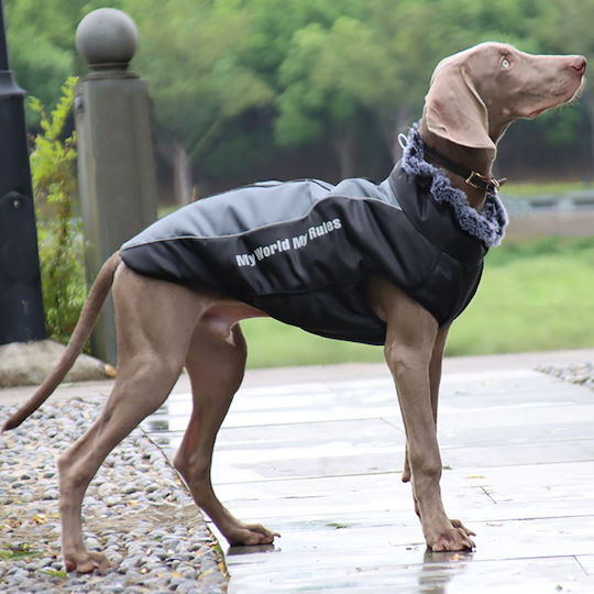 Animal Hundemantel Gray mit Rückenlänge 42 cm.
