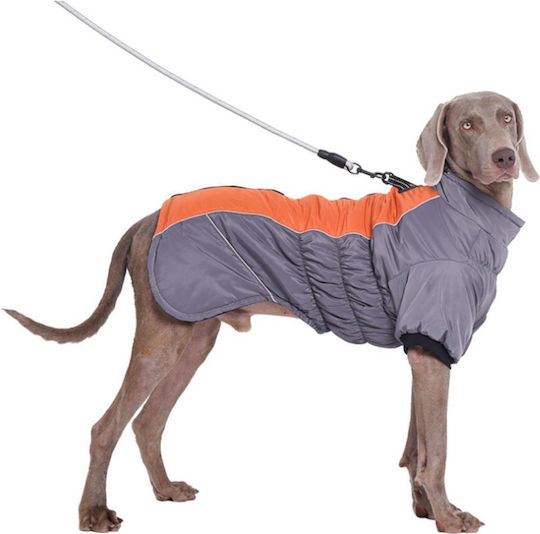 Wasserdichter Hundemantel Hellblau 43cm