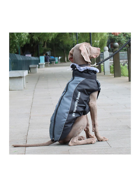 Animal Hundemantel Gray mit Rückenlänge 62 cm.