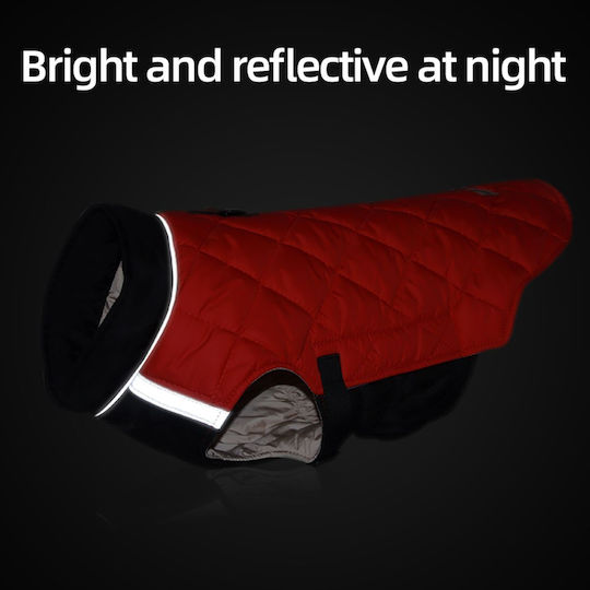 Red Dog Coat with 60cm Back Length