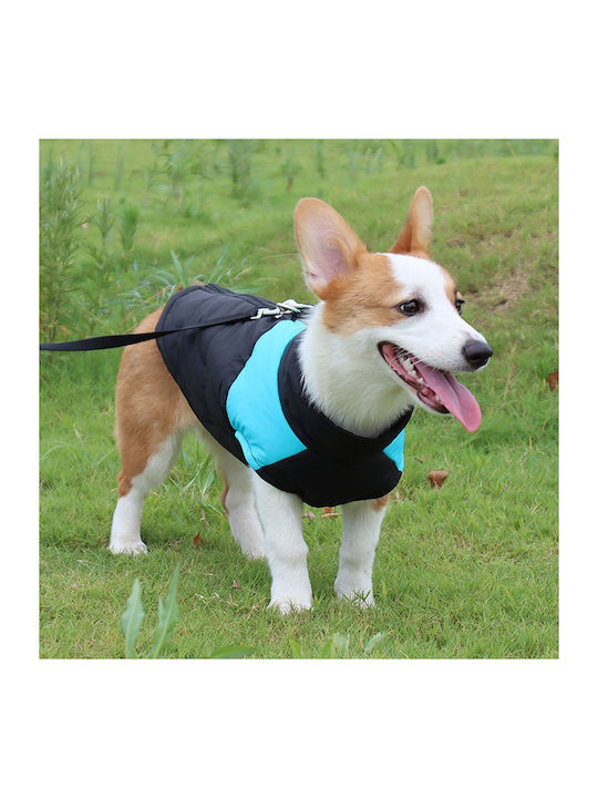 Animal Blue Dog Coat with 31cm Back Length