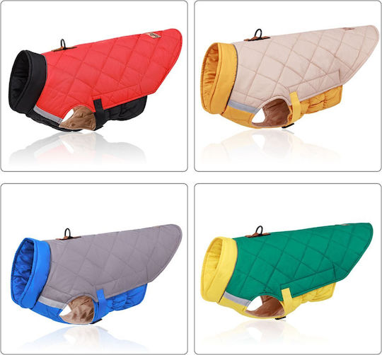 Red Dog Coat with 60cm Back Length