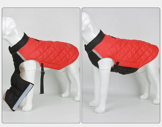 Red Dog Coat with 60cm Back Length