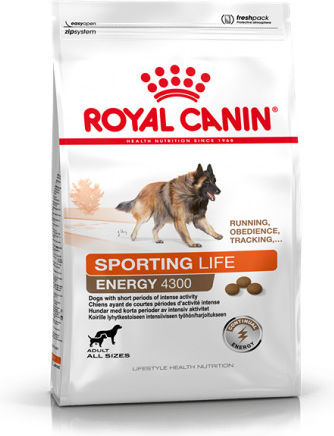 Royal Canin Sporting Life Trail 4300 15kg Trockenfutter für erwachsene Hunde mit Brauner Reis und Huhn